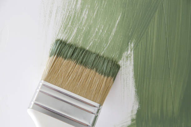 Best Mold Damage Restoration  in De Motte, IN