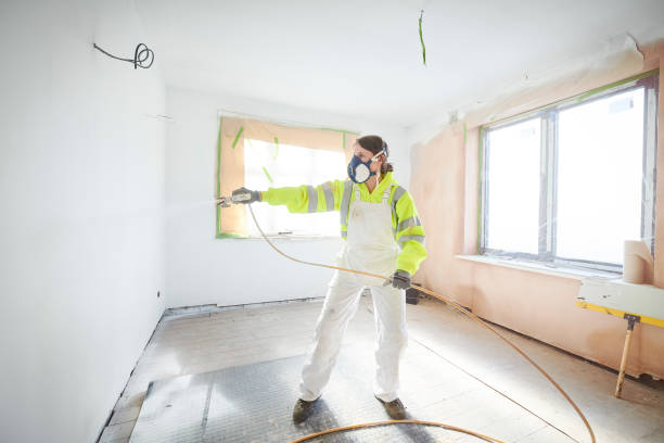 Best Mold Prevention Services  in De Motte, IN