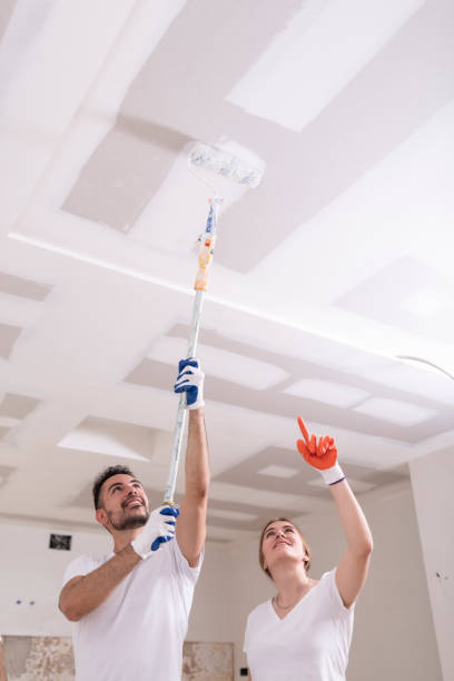Dehumidification Services in De Motte, IN
