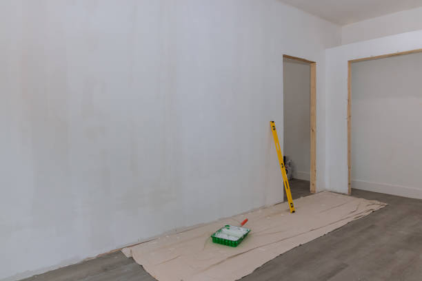 Best Mold Removal for HVAC Installations  in De Motte, IN