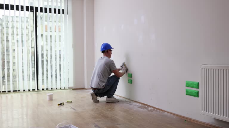 Best Attic Mold Removal  in De Motte, IN
