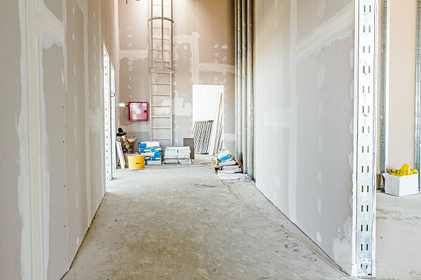 Best Mold Odor Removal Services  in De Motte, IN