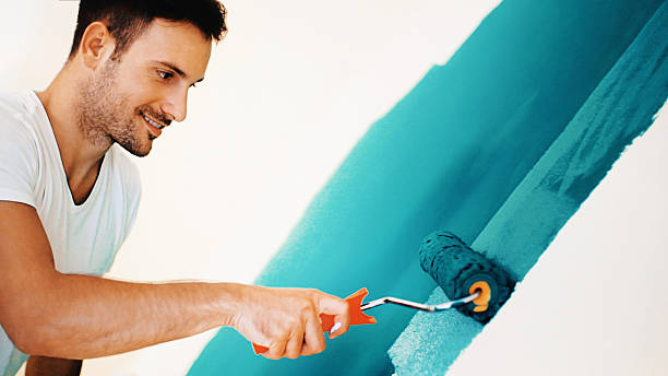 Best Mold Damage Restoration  in De Motte, IN